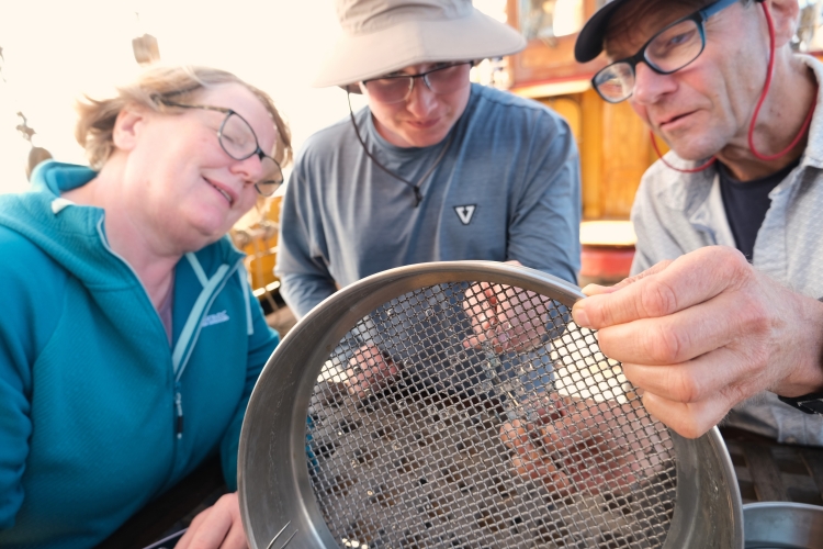 Bark EUROPA sailing from Galapagos to Rapa Nui Easter Island by Abi Smyth