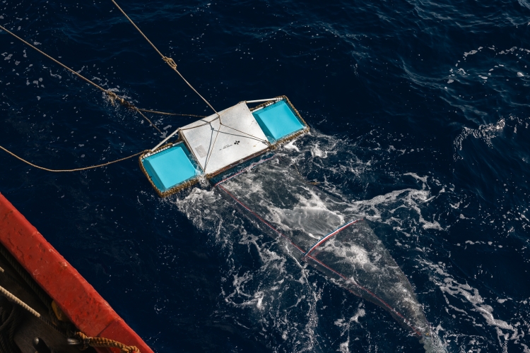 Bark EUROPA manta trawl research in the Pacific Fraser Edwards 