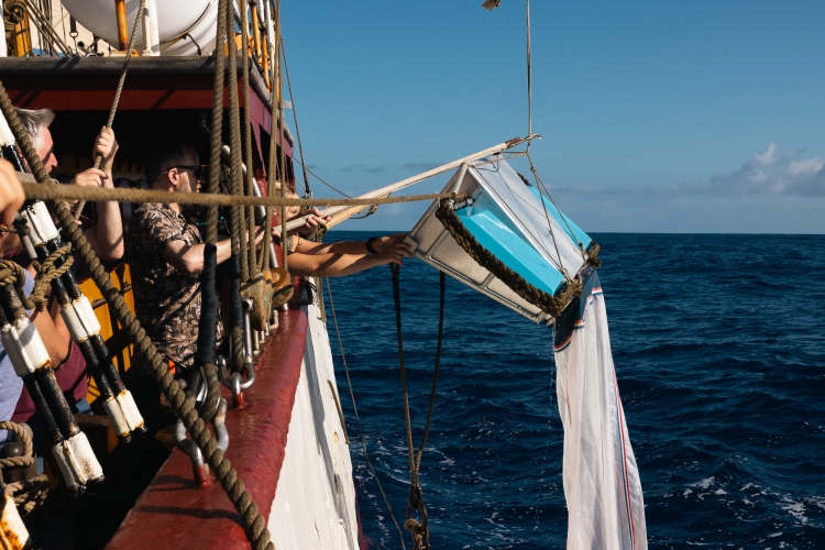 Bark EUROPA manta trawl research in the Pacific Fraser Edwards 