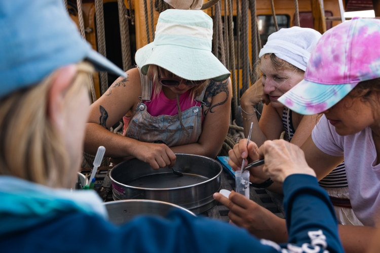 Bark EUROPA manta trawl research in the Pacific Fraser Edwards 