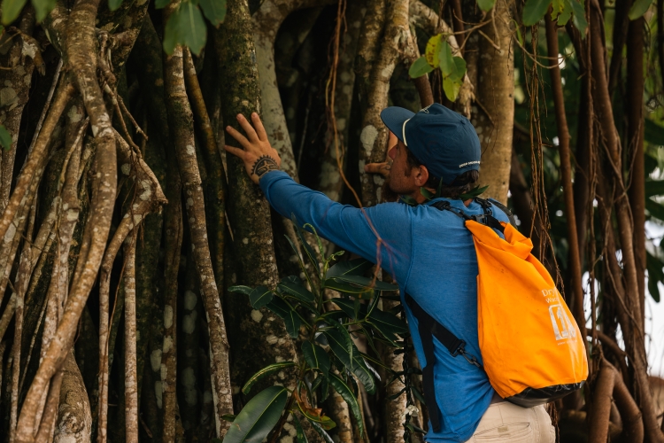 Bark EUROPA Raiatea by Fraser Edwards