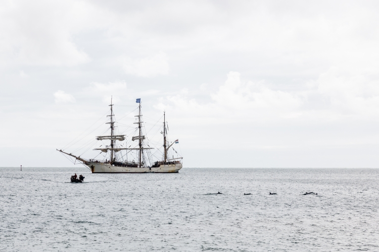 Bark EUROPA Raiatea by Fraser Edwards