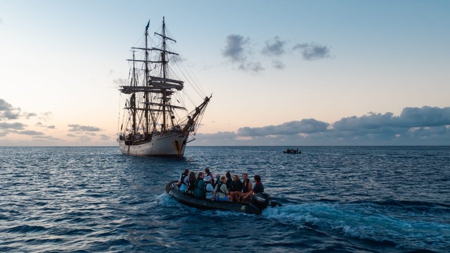 Aitutaki by Fraser Edwards Bark EUROPA