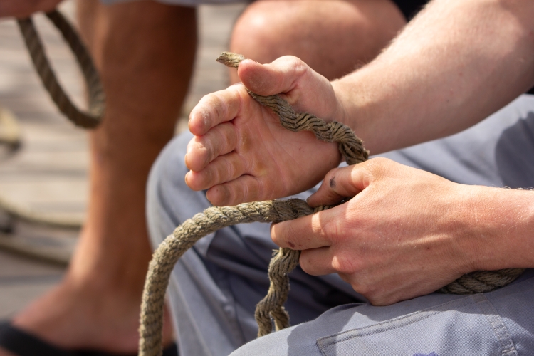 Splicing