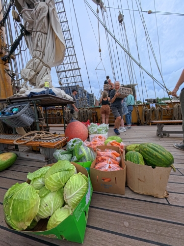 Sailing to Tonga Bark EUROPA by Johanne