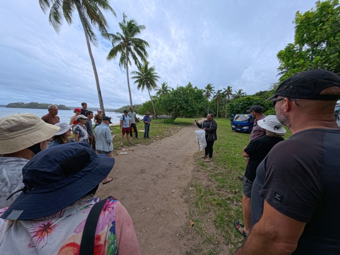 Exploring Tonga Bark EUROPA Johanne