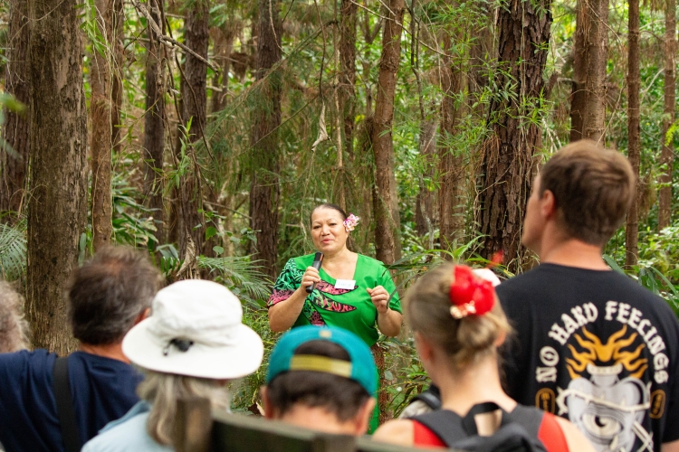 Exploring Tonga Bark EUROPA Johanne
