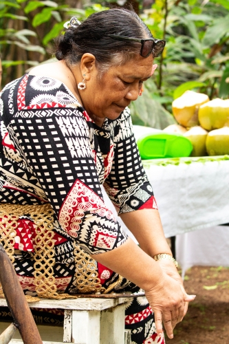 Exploring Tonga Bark EUROPA Johanne