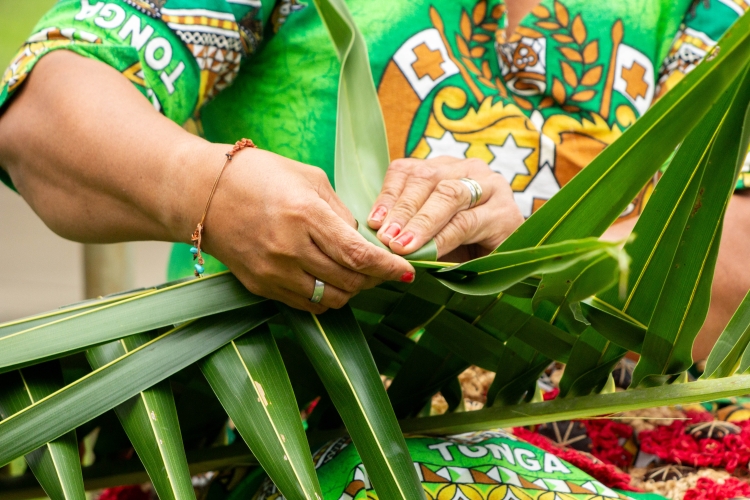 Visiting Tonga Bark EUROPA Johanne