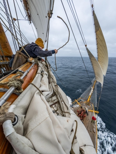 Sailing to Cape Horn 2026 by Jordi Plana Morales