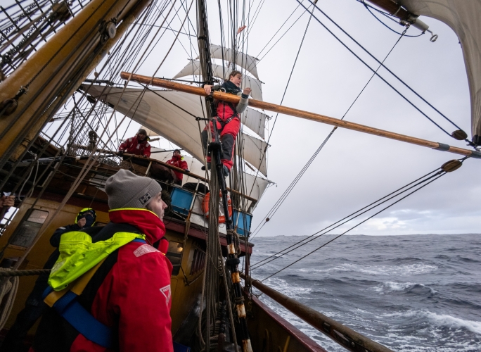 Cape Horn 2026