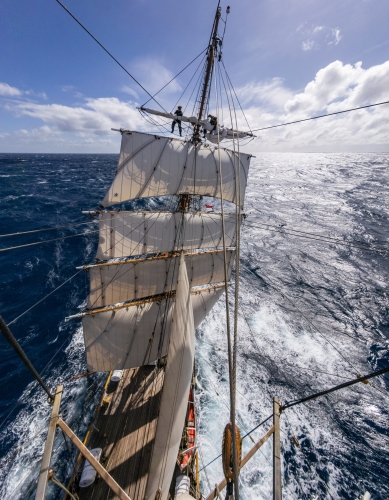 Sailing the cape horn rounding 2026