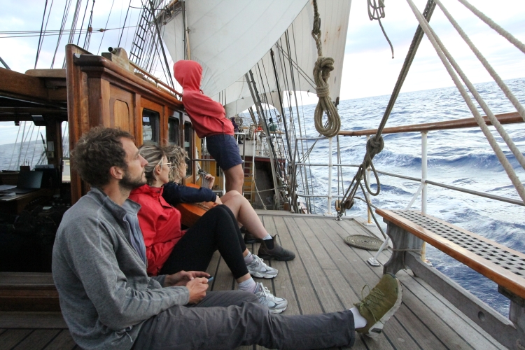 Sailing between Tonga and Auckland