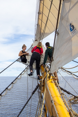 Sailing from Tonga to Auckland Bark EUROPA