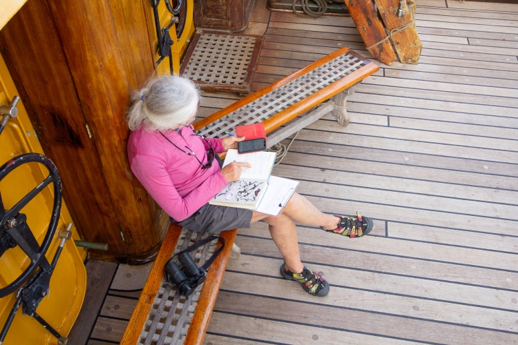 Sailing from Tonga to Auckland Bark EUROPA