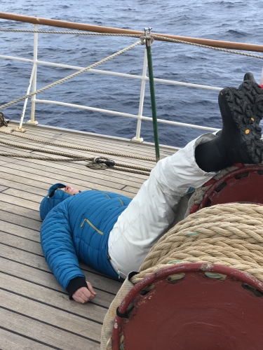 Naps on board Bark EUROPA