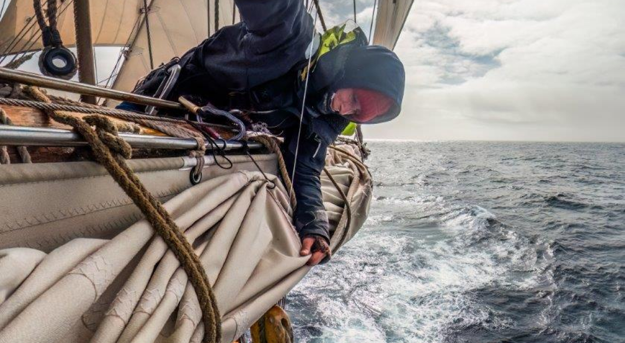 Nat mending the forecourse