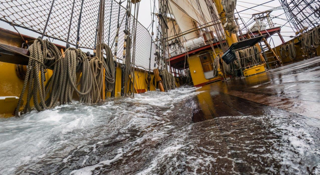 On our way to Antarctica. North-northwesterlies allow us to gain some westing. Icebergs, growlers, bergy bits in the foggy and wet weather..jpg