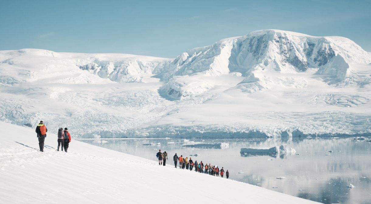 Neko Harbor Bark EUROPA