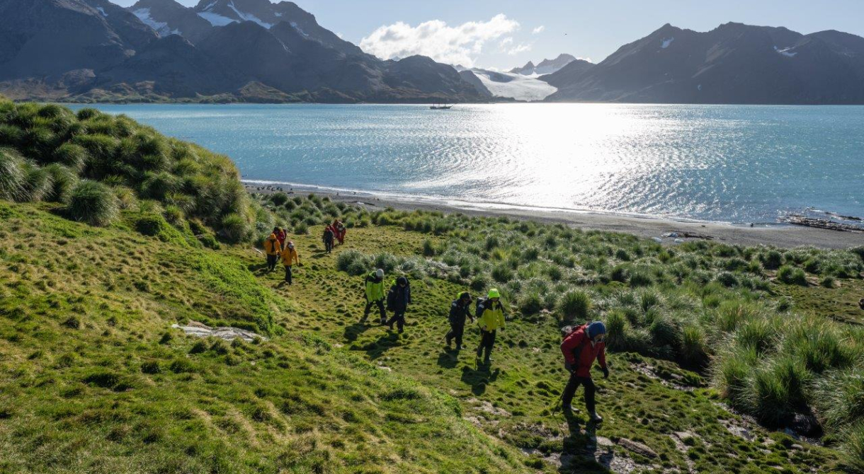 South Georgia Fortuna Bay Shackleton Hike by Jordi Plana Morales