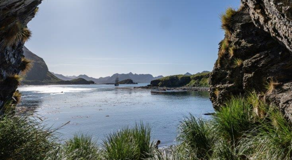 South Georgia, Jason Harbour and Maiviken by Jordi Plana Morales