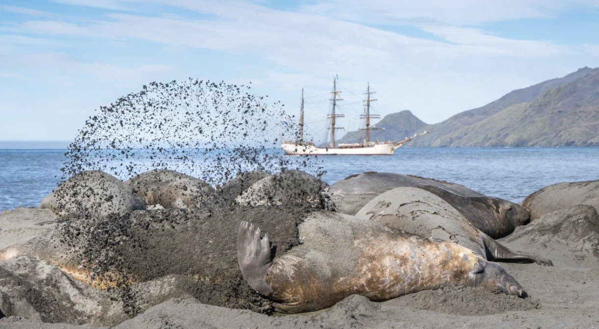 Ocean Harbour and St. Andrews Bay Jordi Plana Morales Bark EUROPA South Georgia