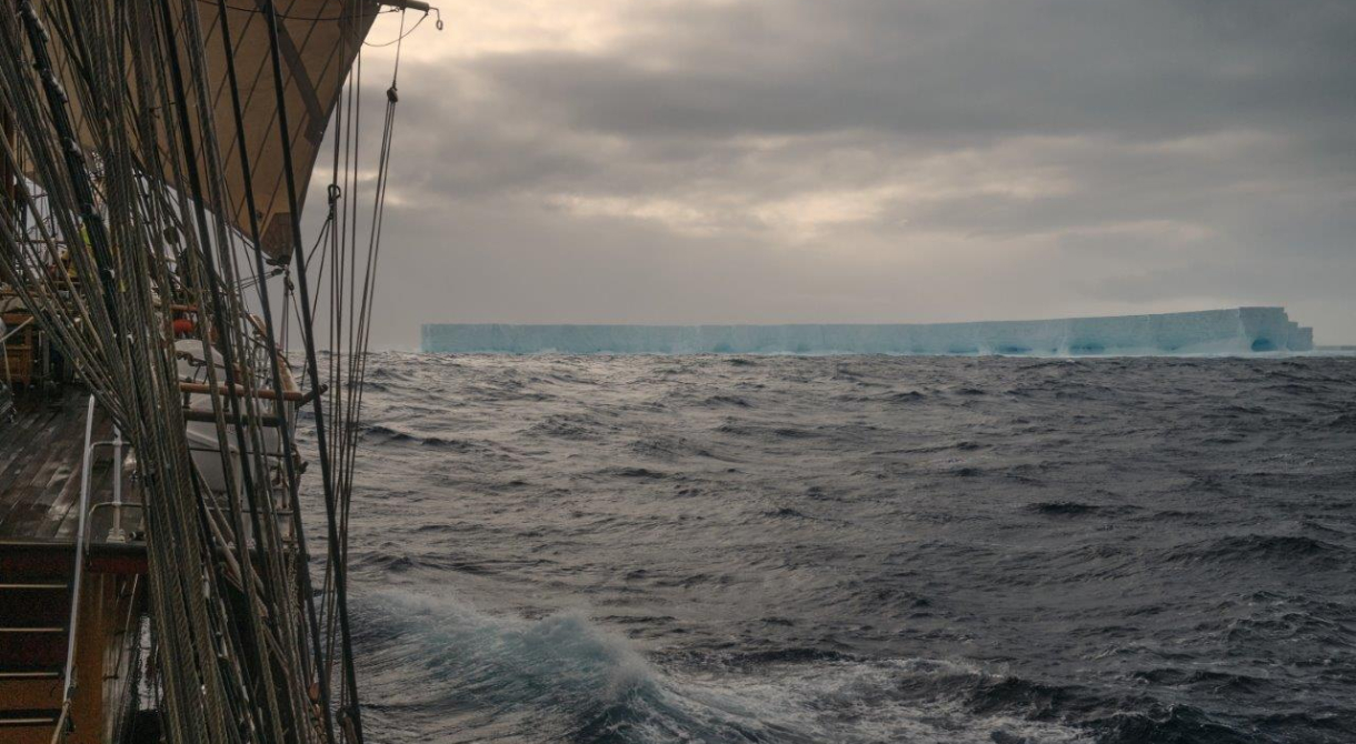 A23A Richard Simko Bark EUROPA