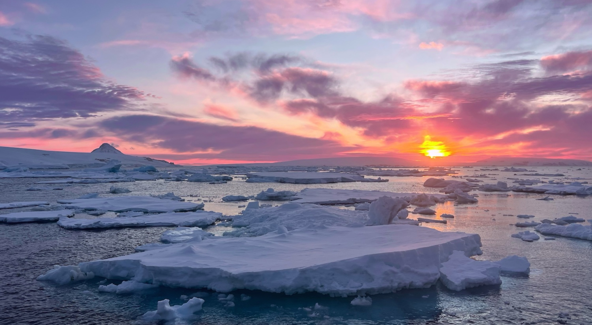 kinnes cove Daniel Robertson