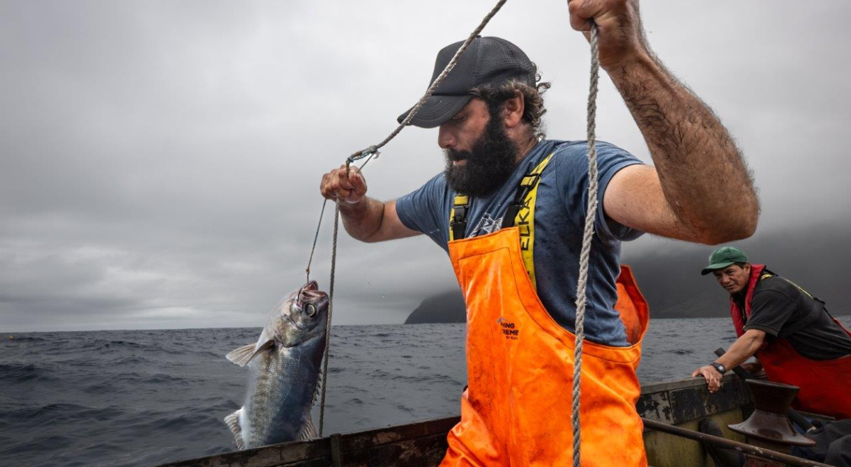 A good day in Tristan da Cunha by Jordi Plana Morales
