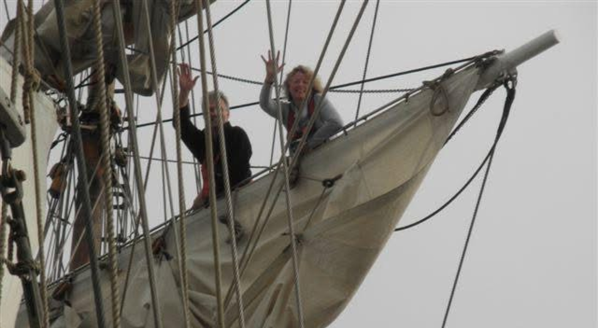 Sandy Gale Bark EUROPA