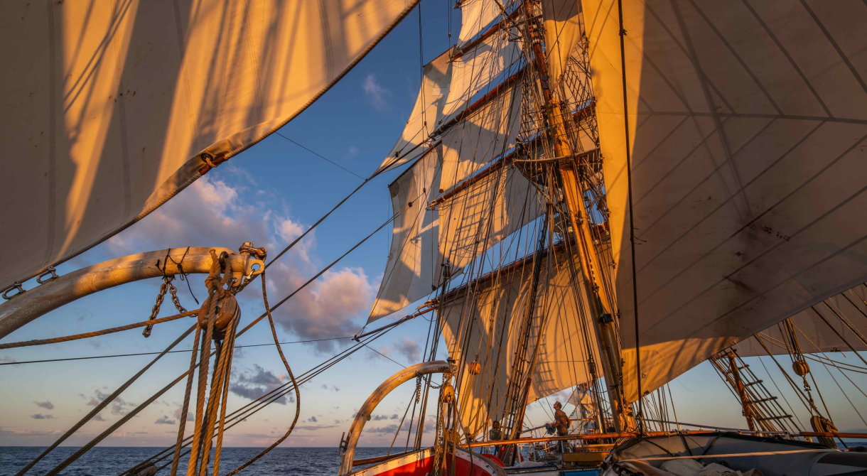 Evenening light Pacific sailing