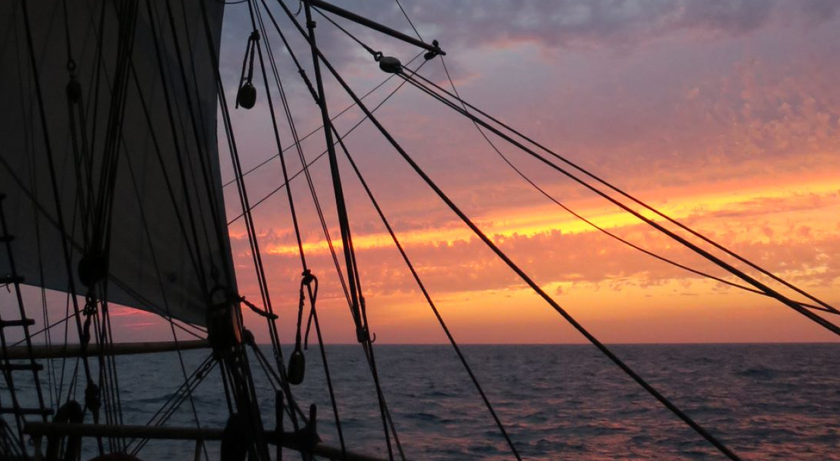 Out from Tenerife Tim Lucas