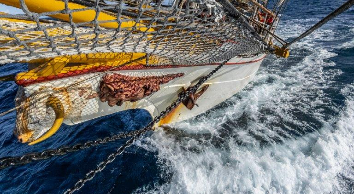 Good weather and a great sailing day in the Drake Passage Bark EUROPA Jordi Plana