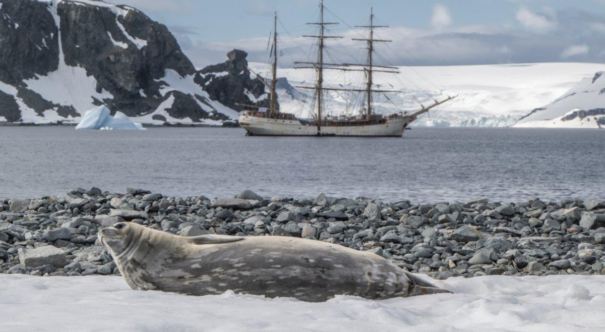 South Shetland Islands by Jordi Plana Morales