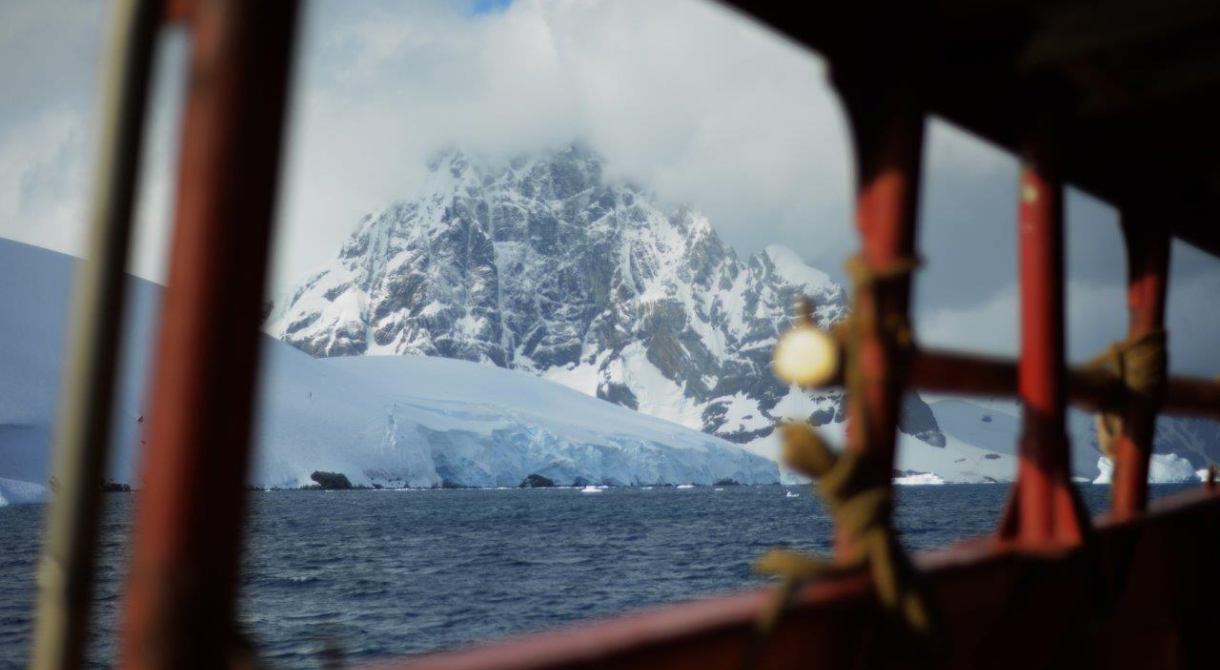 The scale of all things by Amelie Marchand Bark EUROPA Antarctica