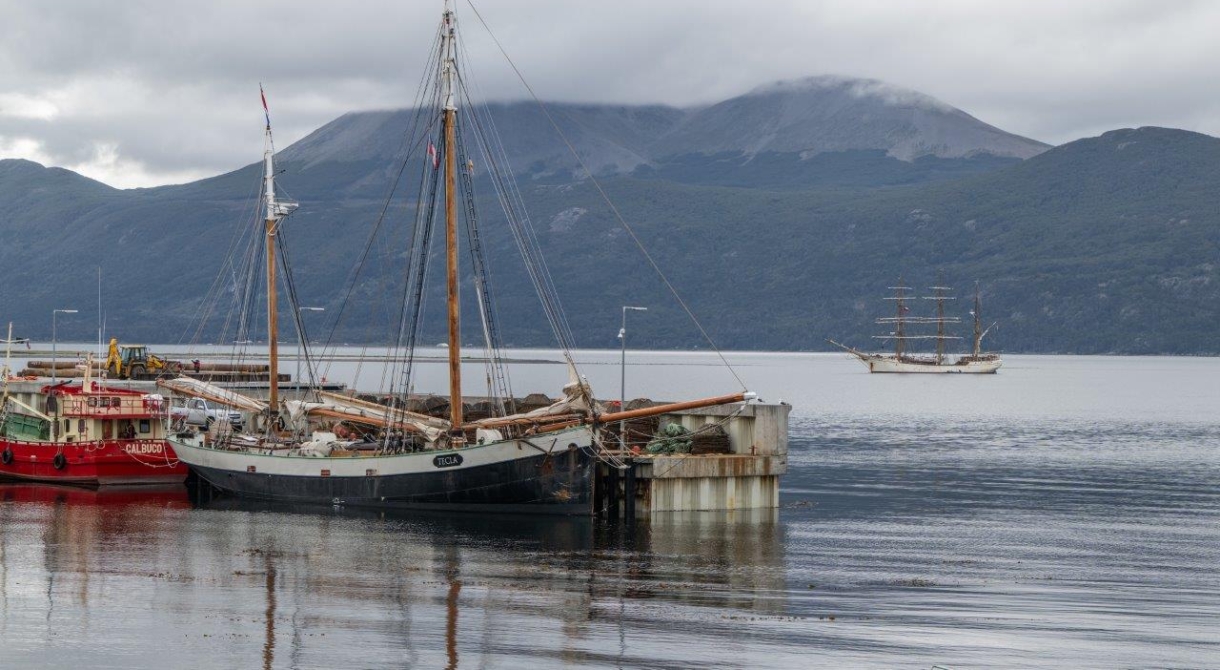 Puerto William jordi plana morales bark europa