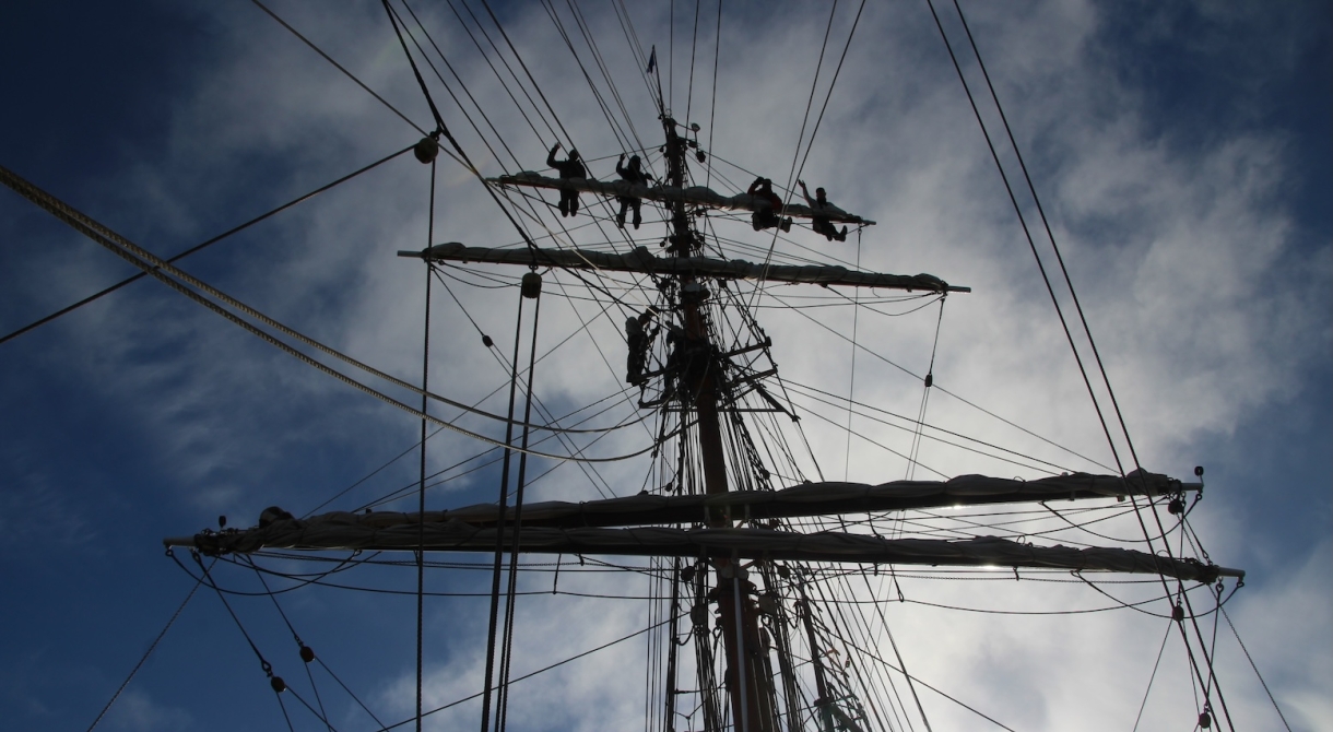 Matt Buchman Antarctica Bark EUROPA