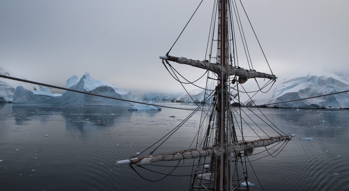 Matt Buchman Bark EUROPA