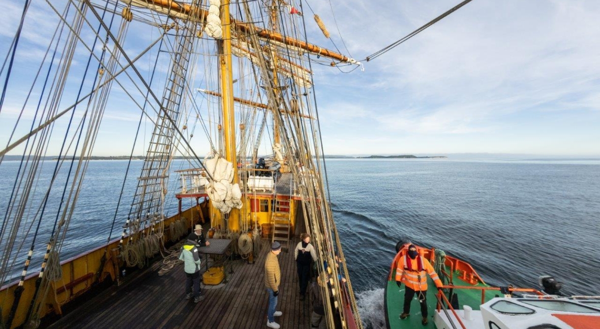 Humboldt Current Bark EUROPA