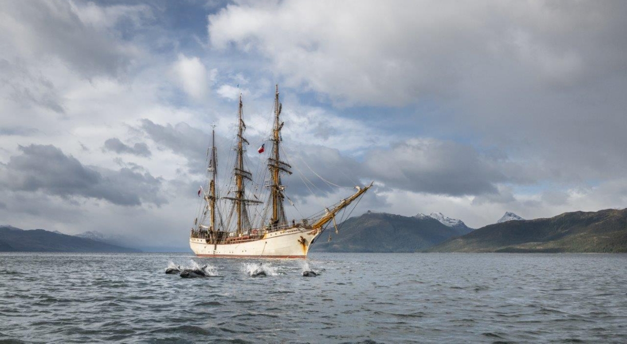 Chilean channels bark europa Jordi Plana Morales