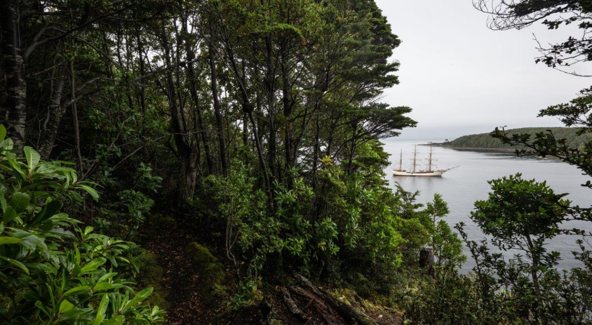 Magellan Straits Chilean Channels Jordi Plana Morales