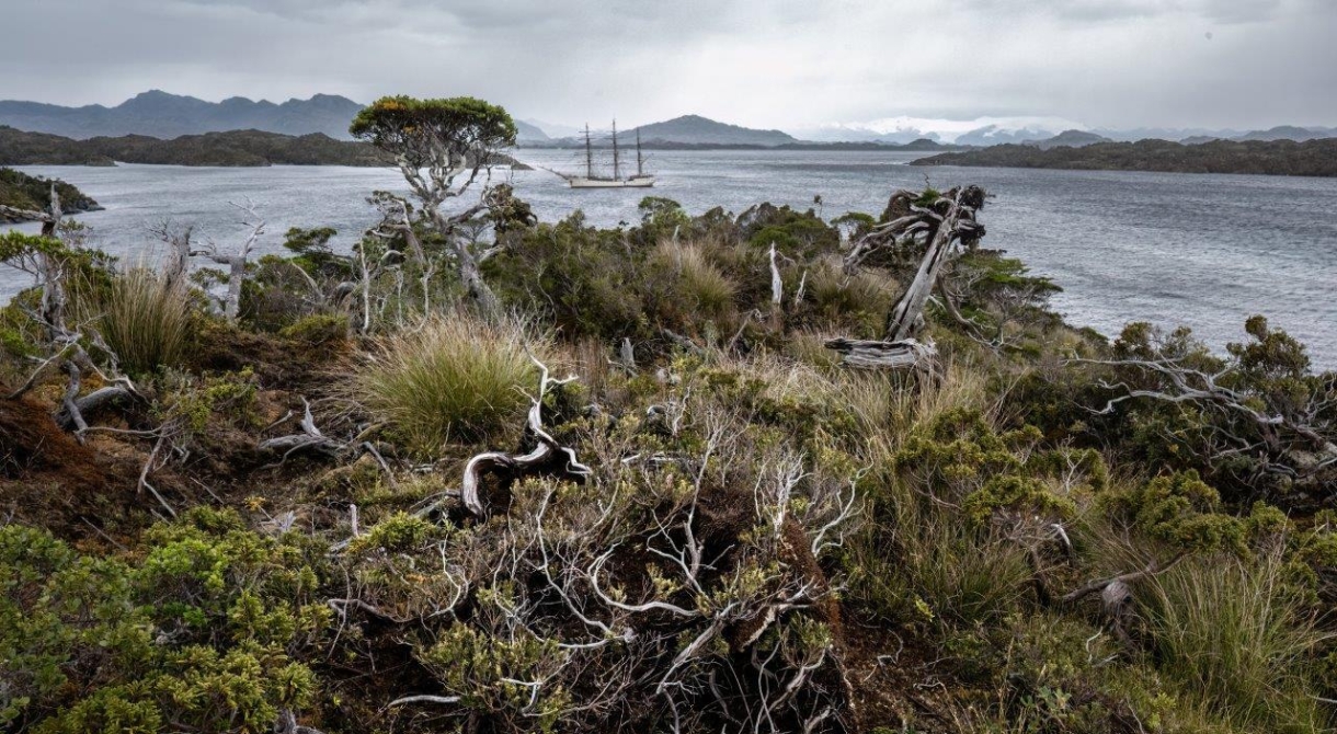 Magellan Straits and start sailing northwards along the Patagonian Fjords Bark EUROPA