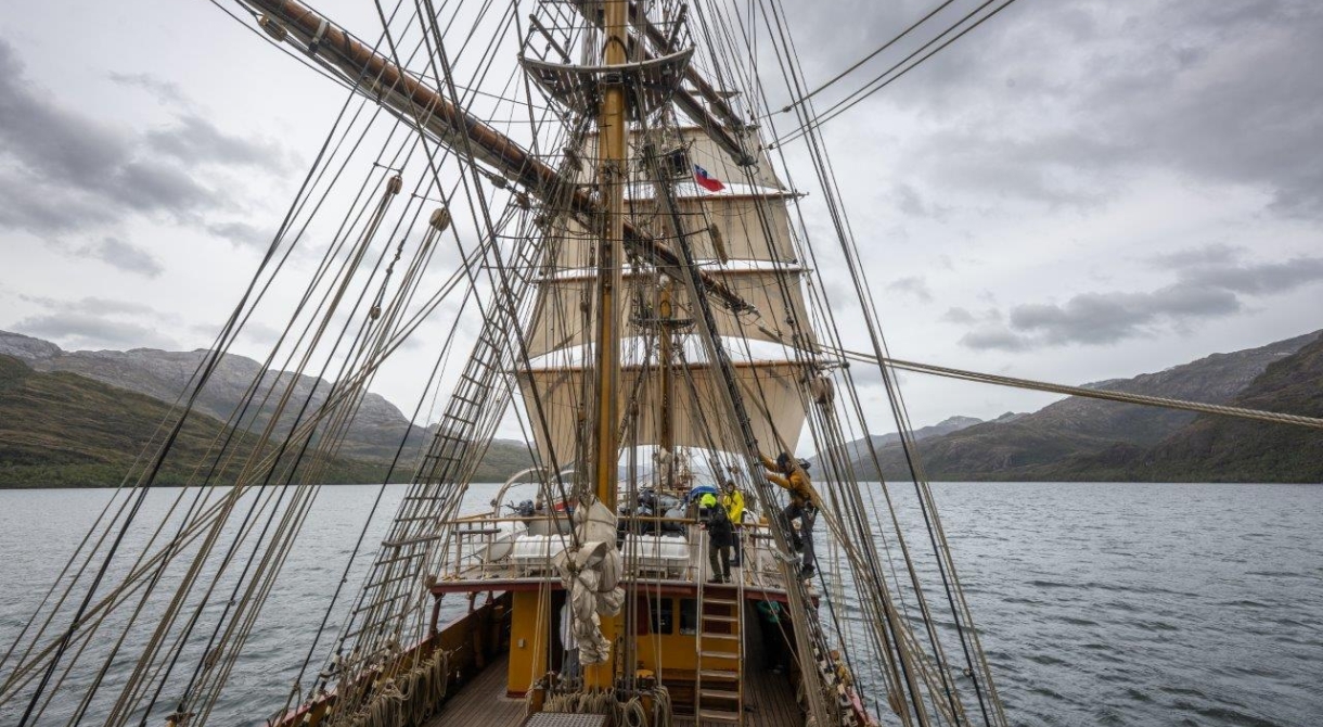 Estero de las Montañas | Chilean Channels Bark EUROPA Jordi Plana Morales