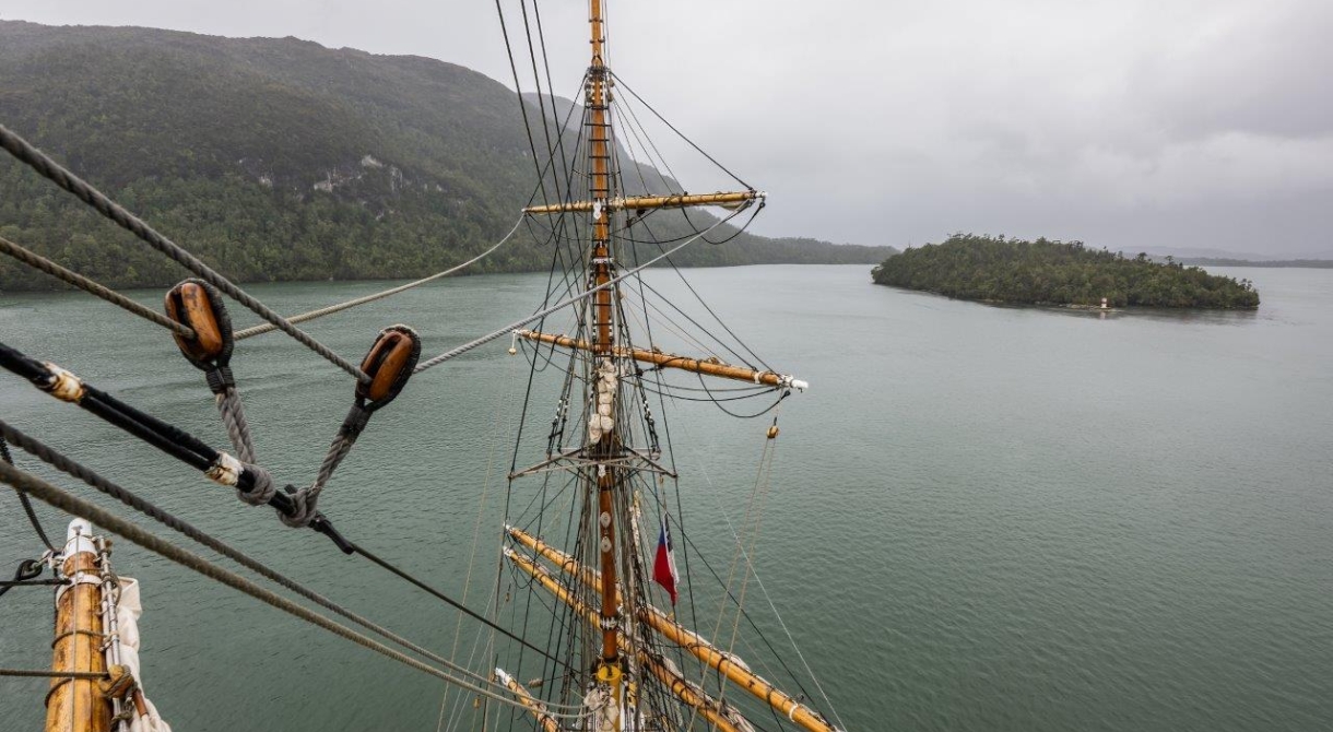 Bark EUROPA Puerto Eden