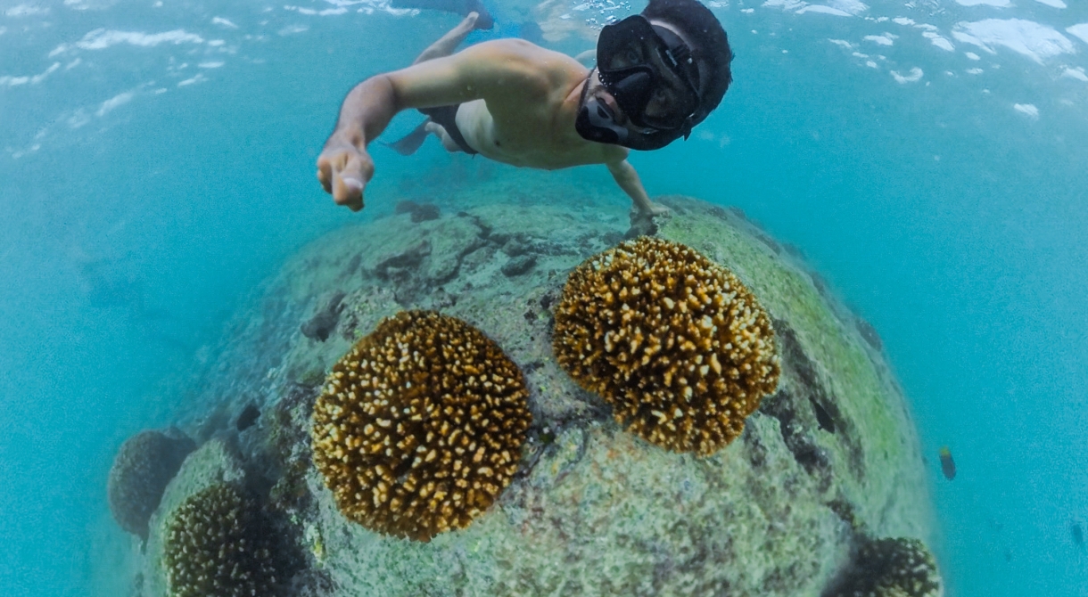 Bark EUROPA sailing the Pacific - Galapagos