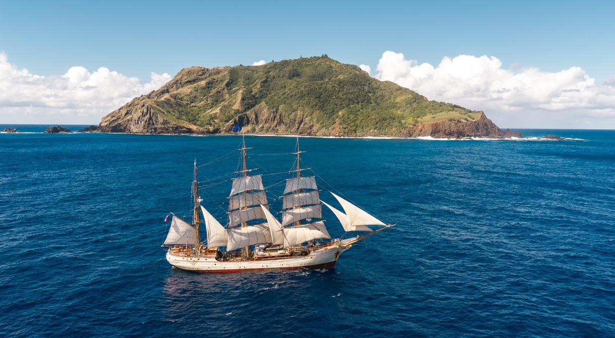 Bark EUROPA Pitcairn
