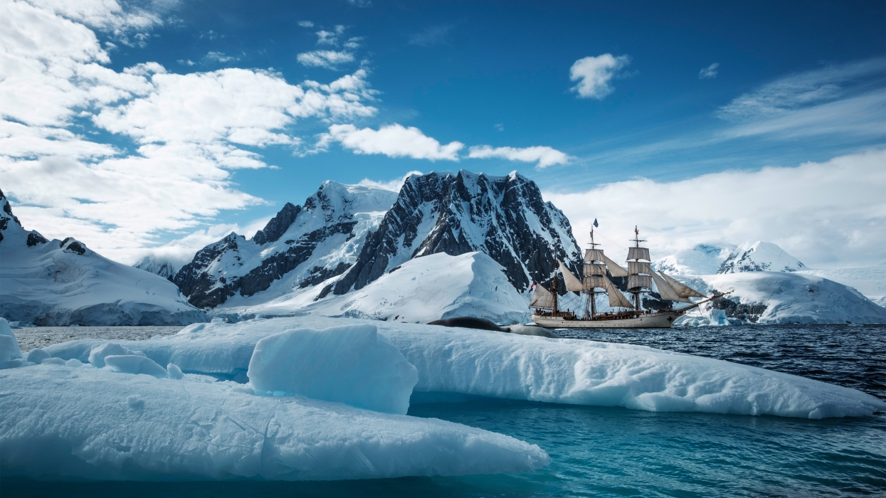 Barkeuropa - Unforgettable saling adventures
