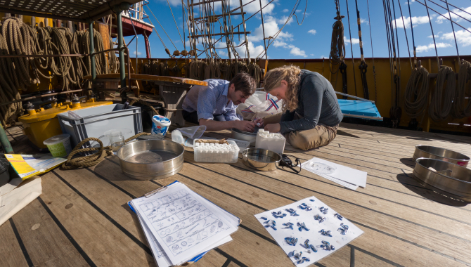 Research on board