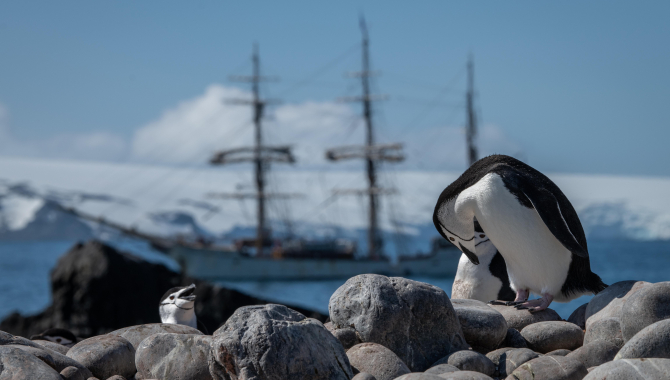 Pinguins in Antarctica with the EUROPA background