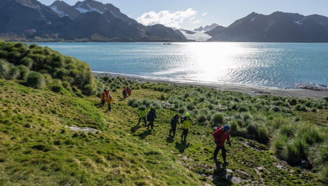 South Georgia Fortuna Bay Shackleton Hike by Jordi Plana Morales